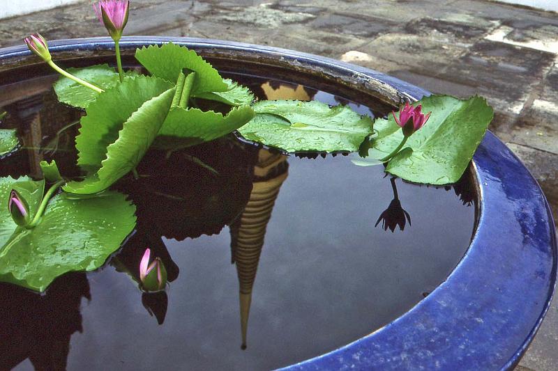 WT 0800 124-16 Thailand.jpg